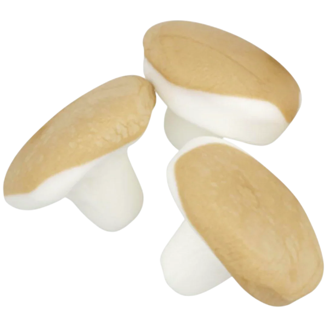 KOLASVAMP (CARAMEL MUSHROOMS)