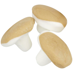 KOLASVAMP (CARAMEL MUSHROOMS)