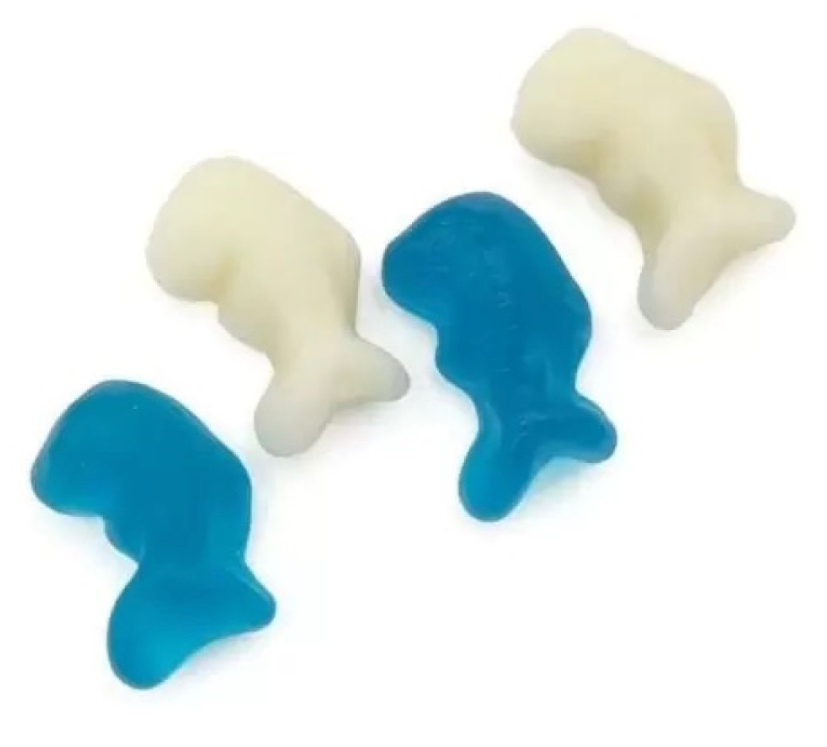 DOLPHINS